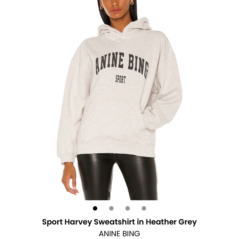 Anine Bing Light Gray Sport Hoodie